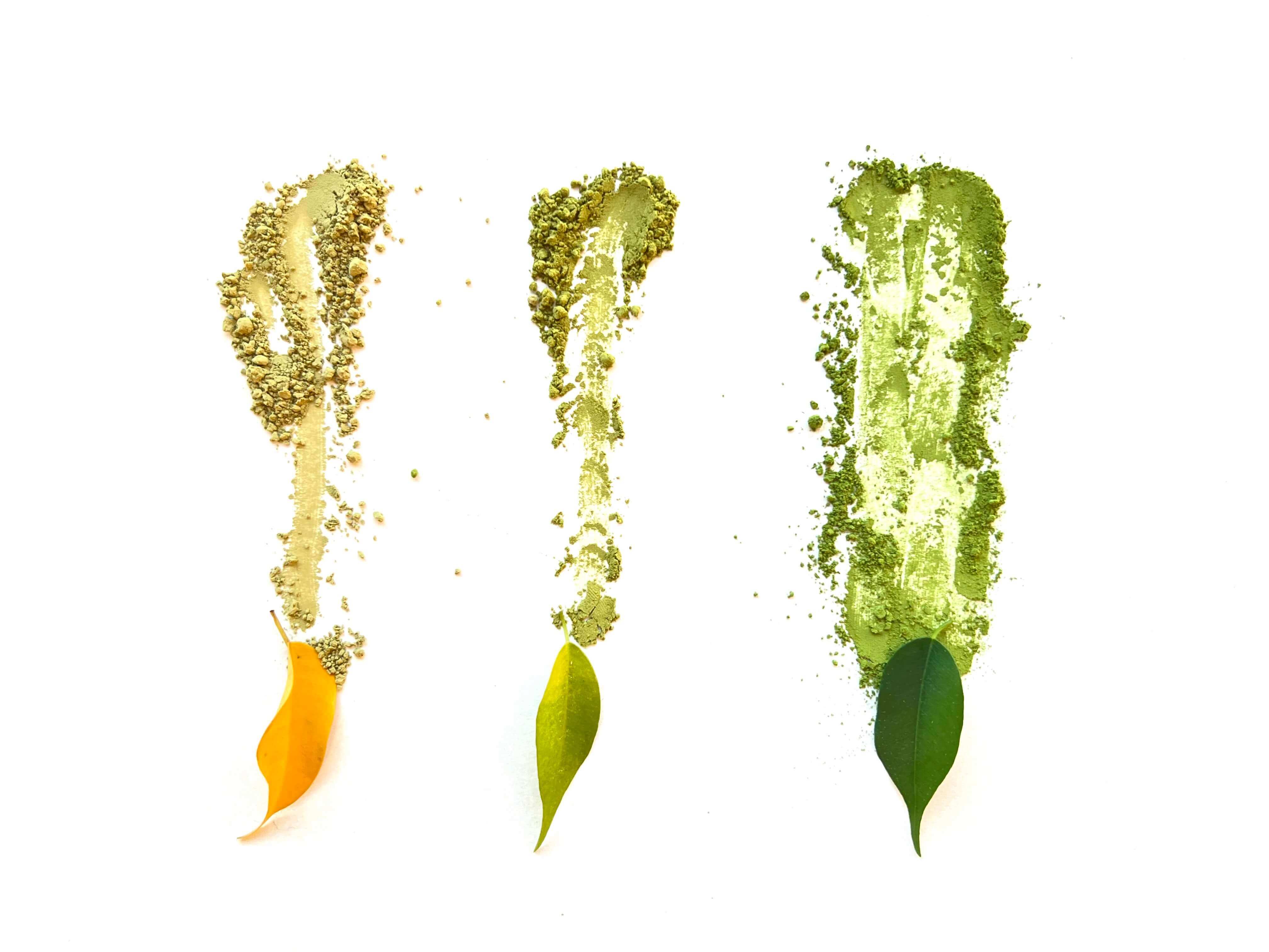 Matcha quality comparison